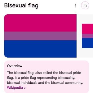 Bisexual Pride Flag